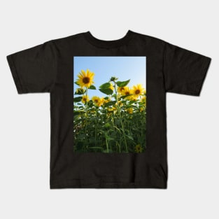colorful, blooming sunflowers, sunflower, flowers Kids T-Shirt